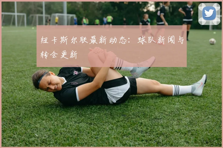 纽卡斯尔联最新动态:球队新闻与转会更新